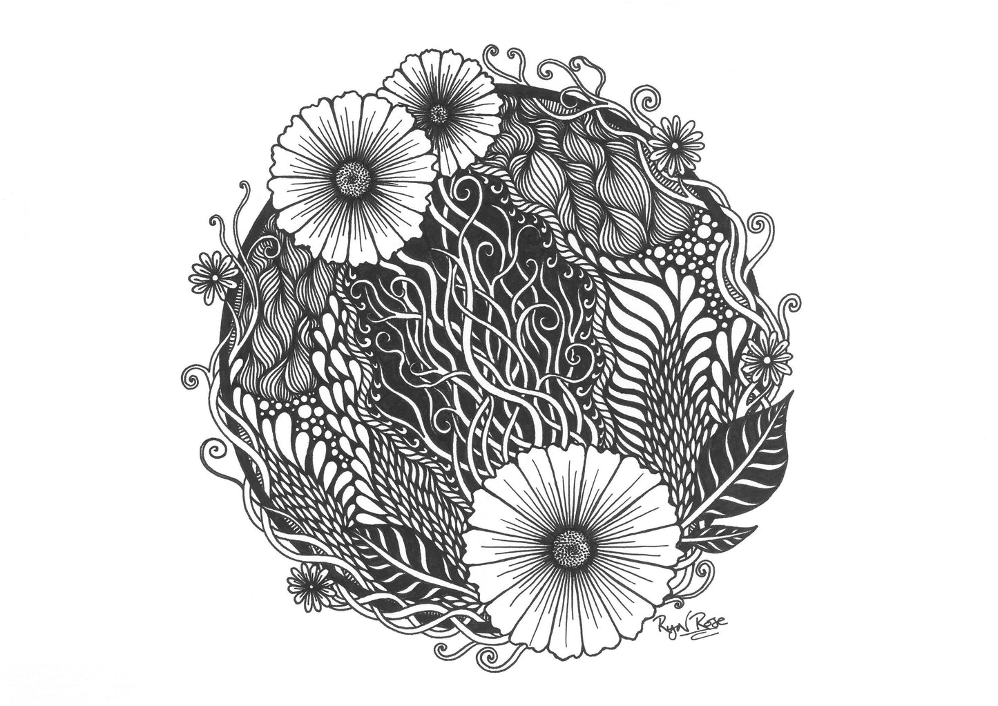 Selected from the Ryn Rose 2023 "100-day challenge" collection. Hand drawn Art inspired by nature.